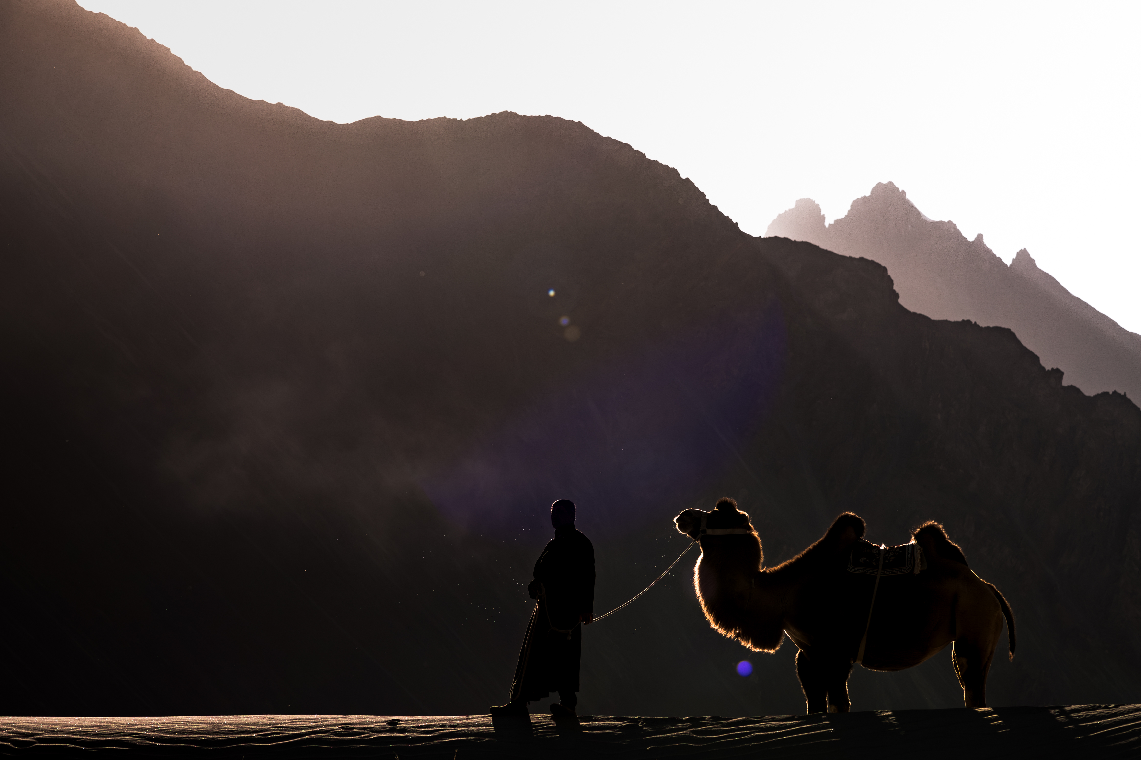 Man with double-humped camel in Nubra Valley Ladakh during cultural photography expedition